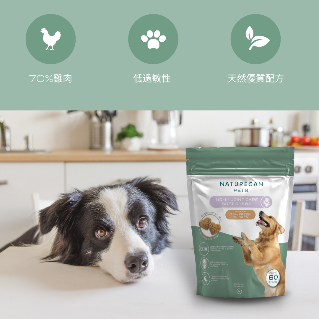 UC-II® 狗狗點心(關節保健)