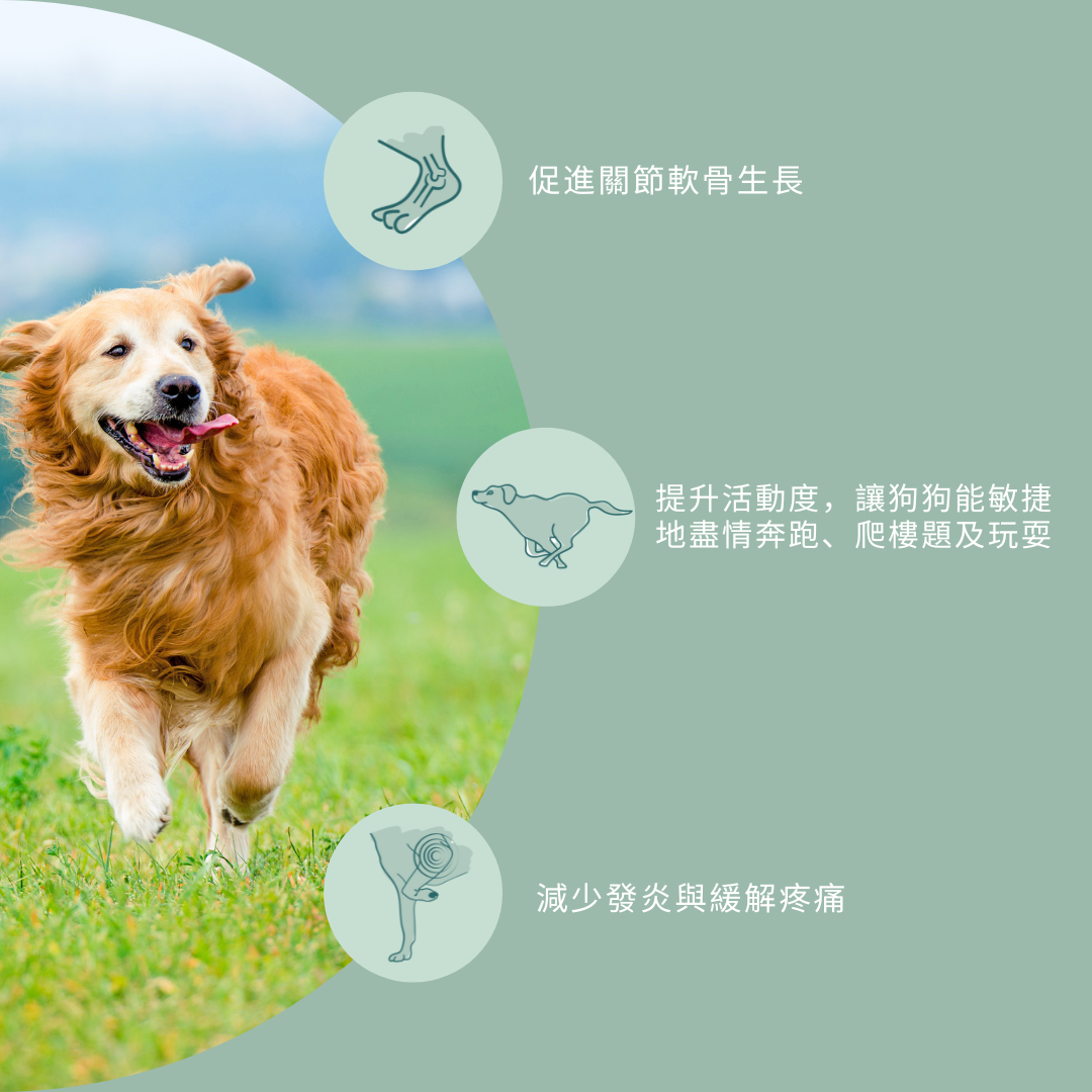 UC-II® 狗狗點心(關節保健)