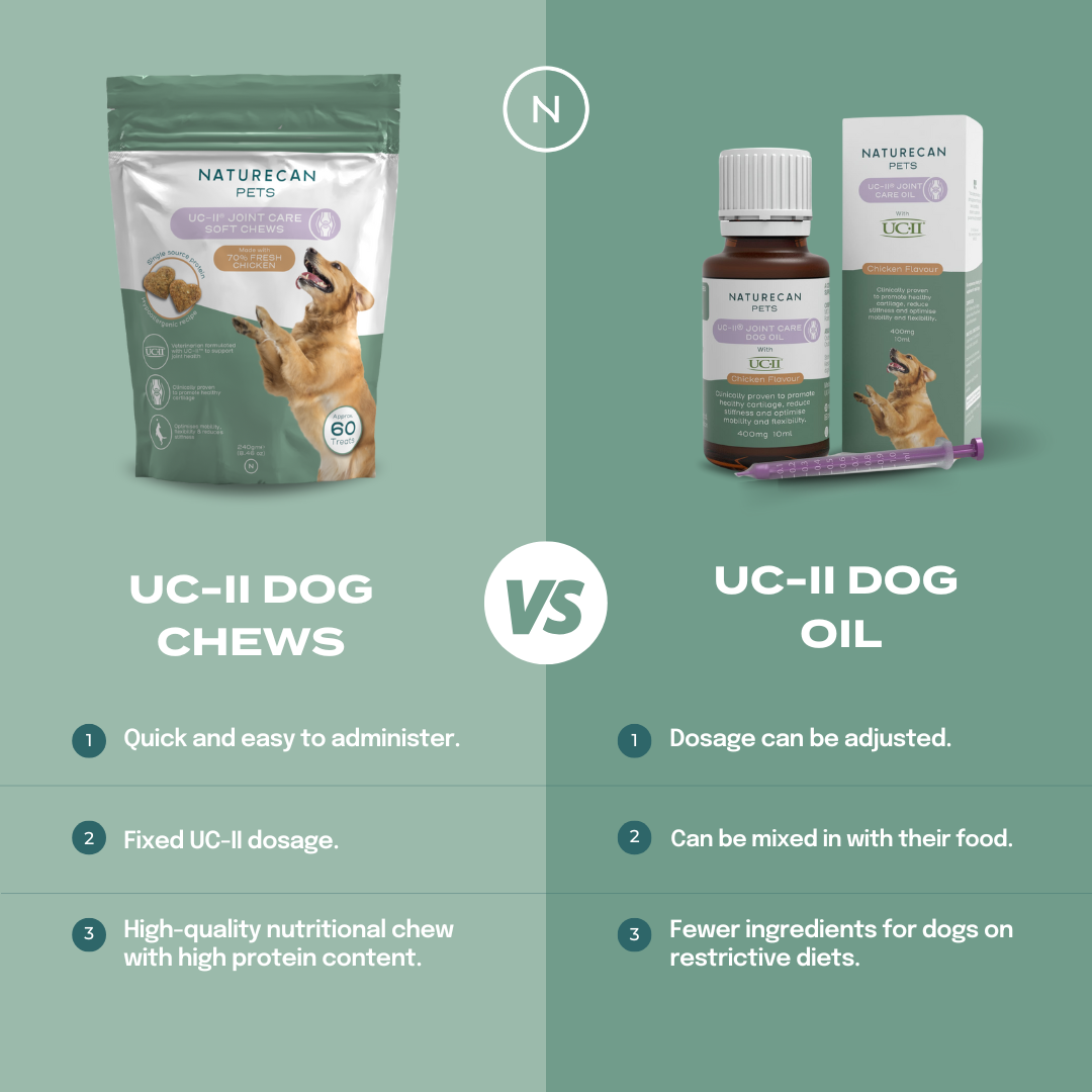 UC-II® 狗狗關節保健油