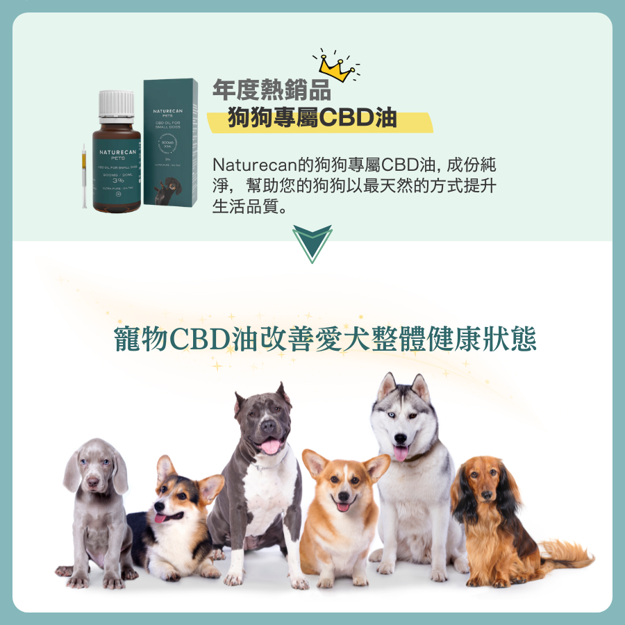 3% -10% 狗狗專屬CBD油