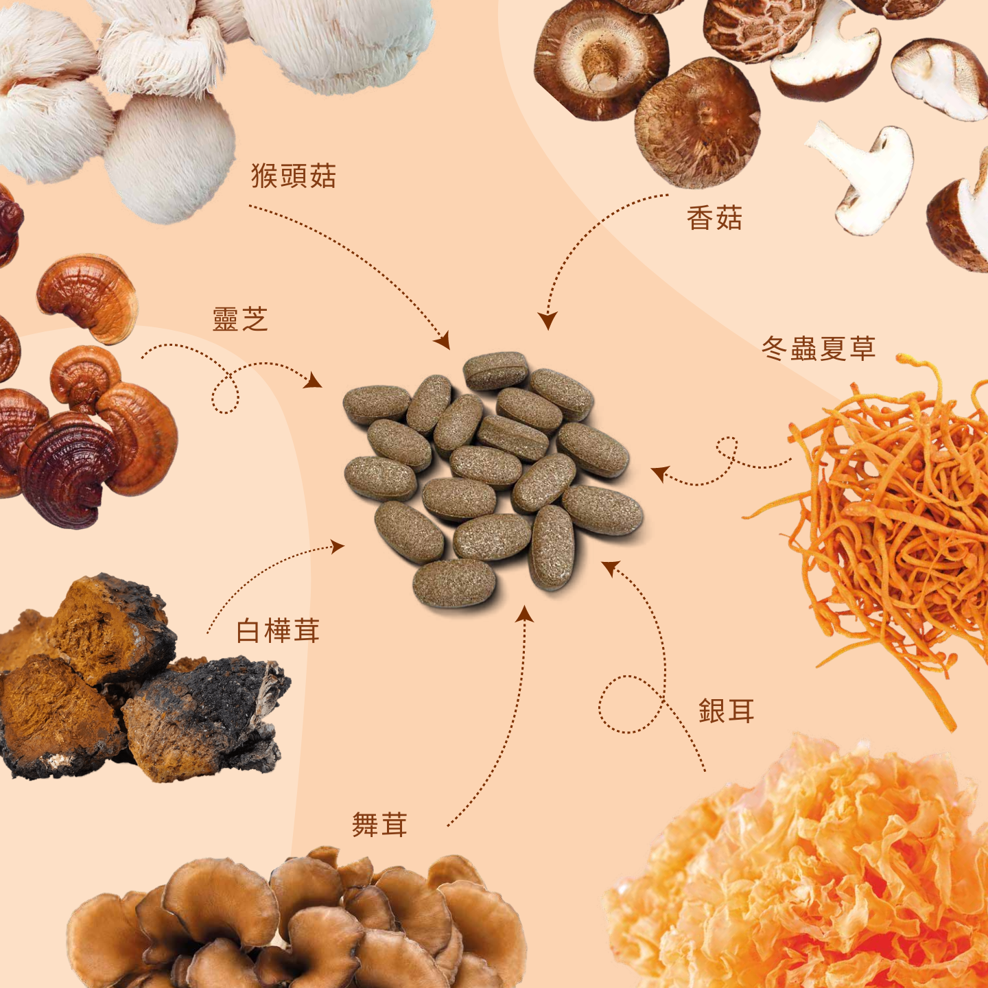 綜合蘑菇精華膠囊