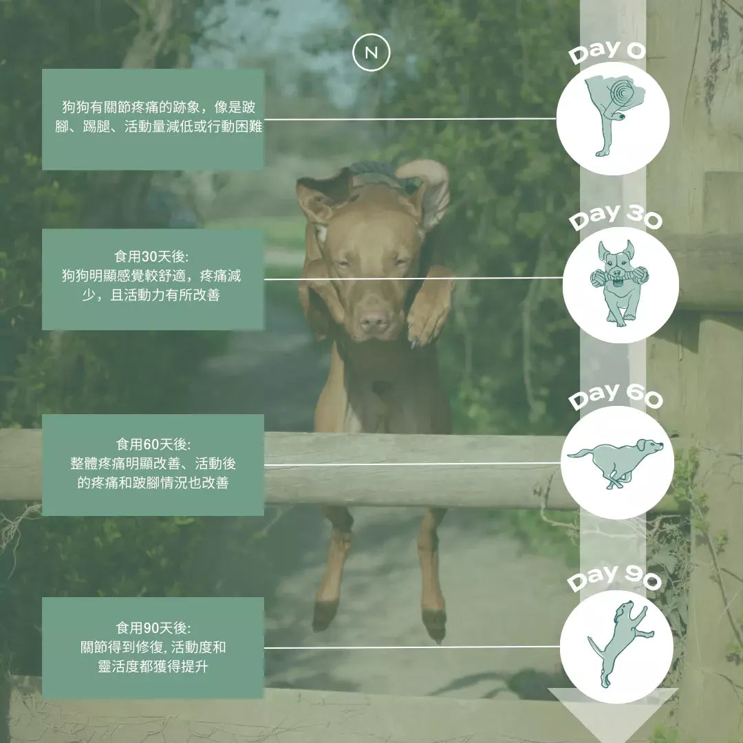 UC-II® 狗狗點心（關節保健）