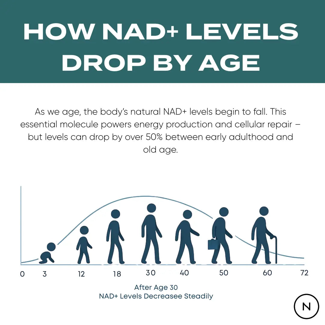 Naturecan台灣 NAD+膠囊（NR 菸醯胺核苷）
