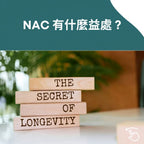 NAC膠囊（乙酰半胱胺酸）