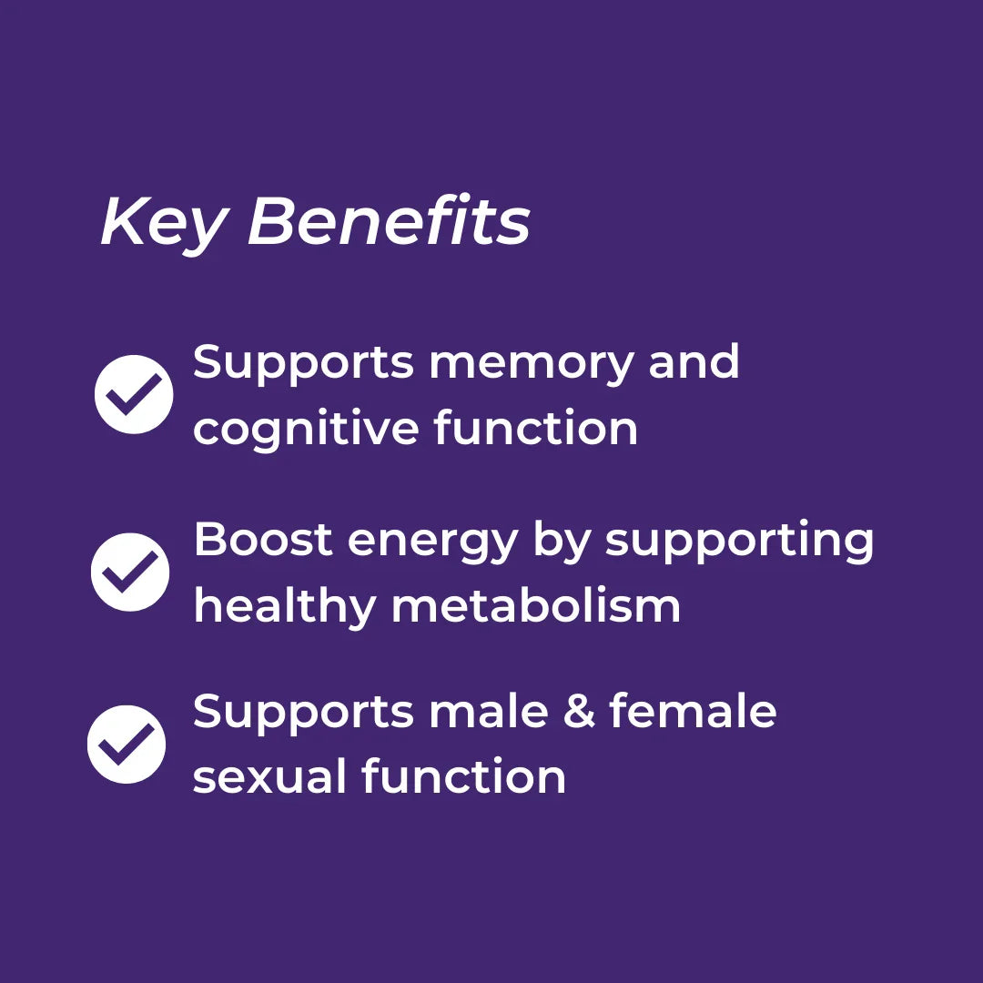 List of key benefits on a purple background