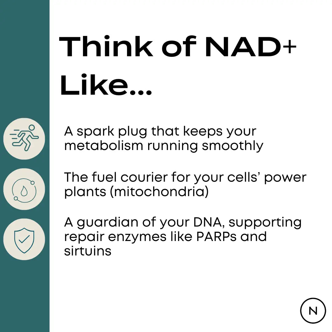 Naturecan台灣 NAD+膠囊（NR 菸醯胺核苷）