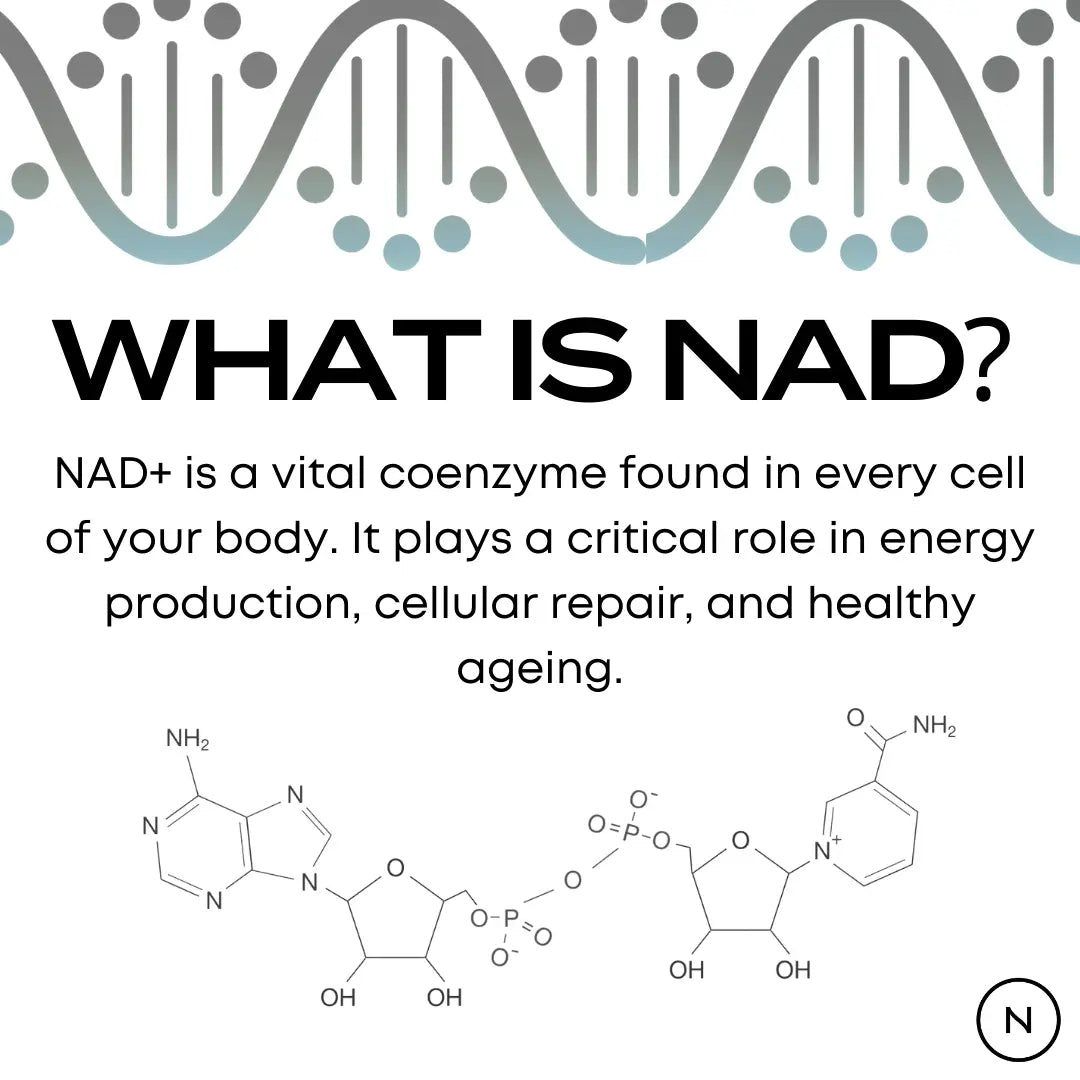 Naturecan台灣 NAD+膠囊（NR 菸醯胺核苷）