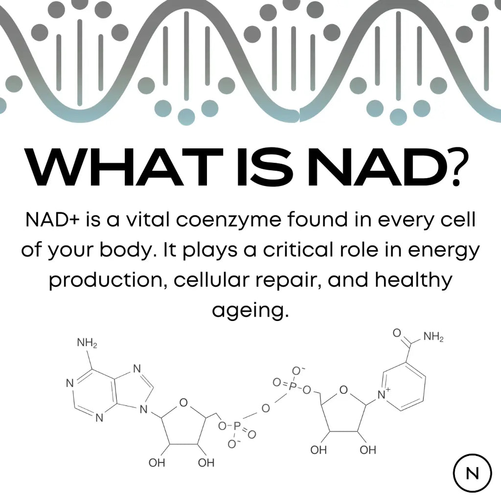 Naturecan台灣 NAD+膠囊（NR 菸醯胺核苷）