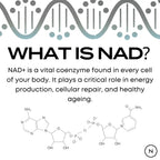 Naturecan台灣 NAD+膠囊（NR 菸醯胺核苷）